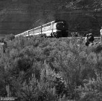 Western Slope Wandering